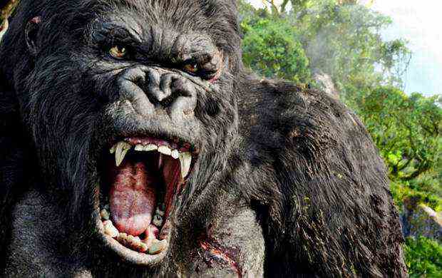 знаменитая гигантская горила